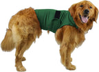 Dog wearing a green life jacket on a white background