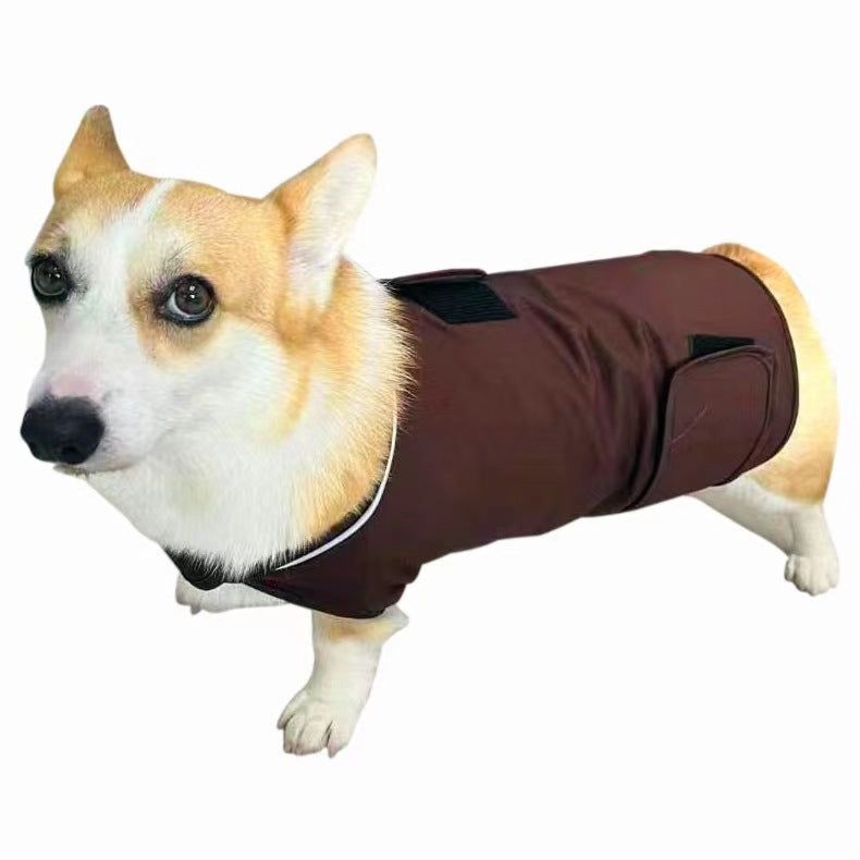 Dog wearing a brown coat on a white background