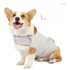 Dog wearing a gray harness on a white background