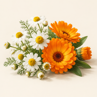 Camomille + Calendula
