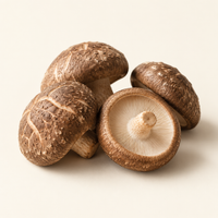 Champignon shiitaké