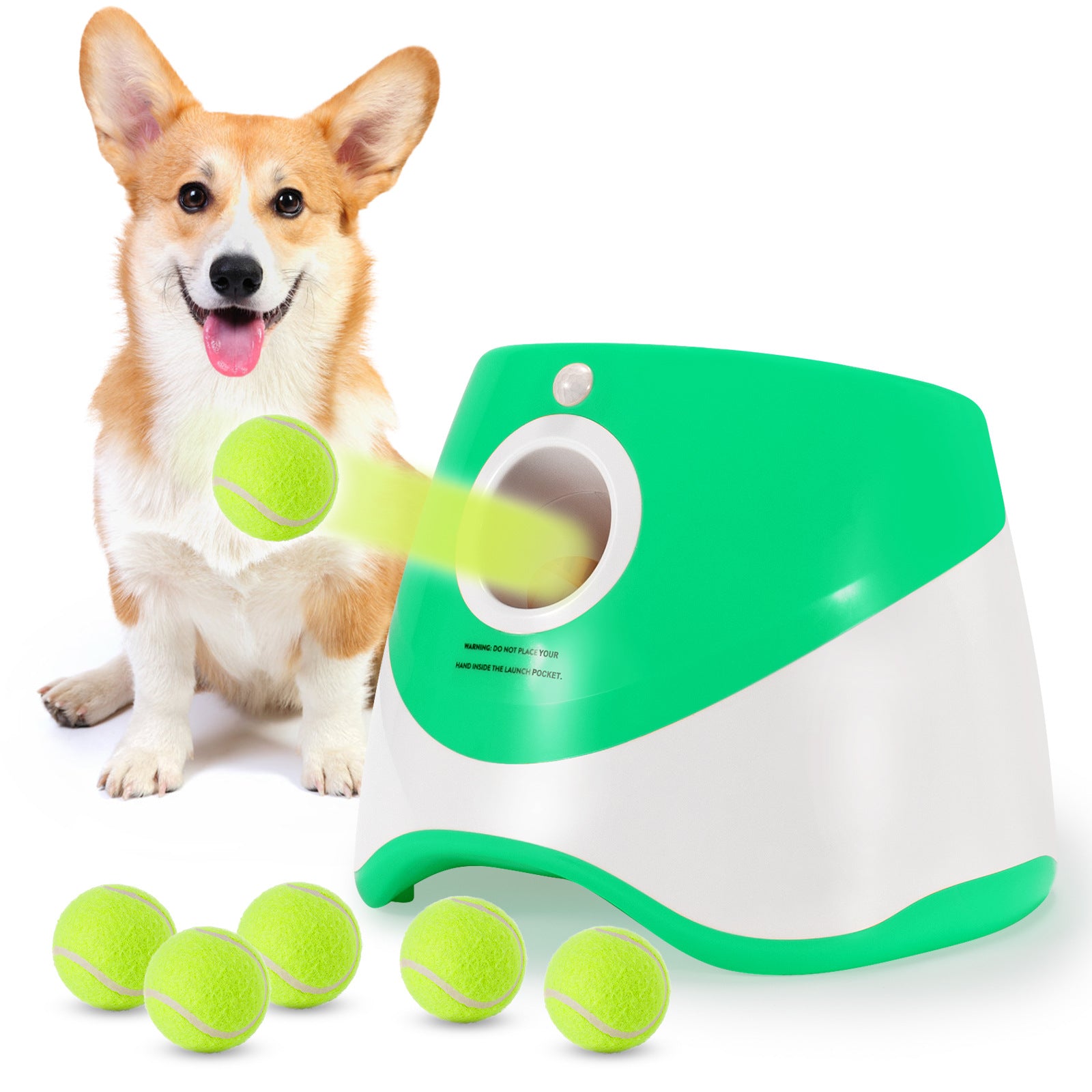 Dog playing with a green and white toy that shoots out tennis balls, with five balls on a white background.