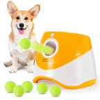 Dog playing with a tennis ball and a toy dispenser on a white background